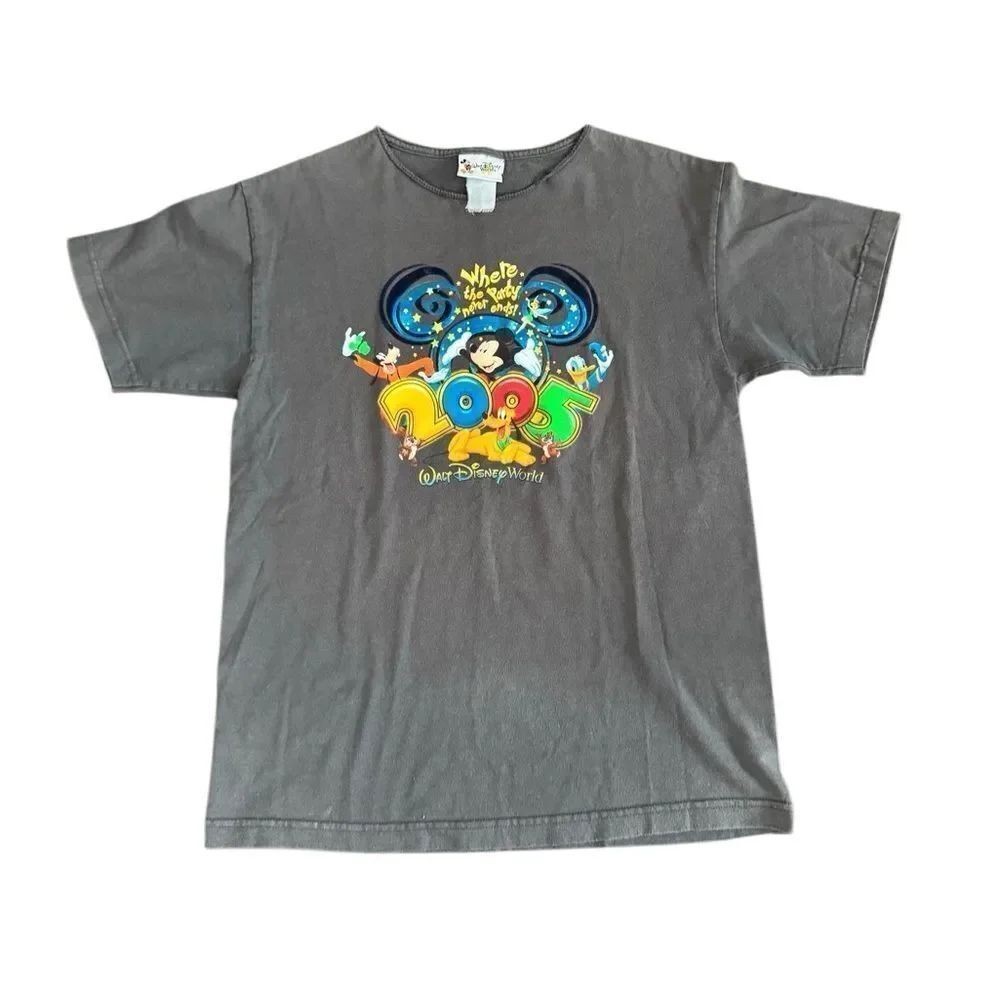 Disney Vintage 2005 Walt Disney World Graphic T Shirt Where the magic never ends